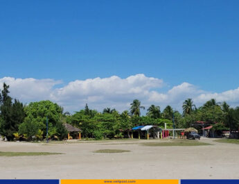 Gelée, entre vagues éclatantes et sourires malgré la crise