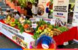 Le PNCS relance sa foire pour promouvoir l’alimentation scolaire et les produits locaux