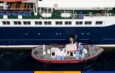 Alerte sanitaire : trois décès et des cas d’hantavirus confirmés sur un navire de croisière par l&rsquo;OMS