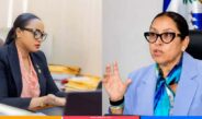 Haïti prépare une réponse coordonnée pour protéger les droits de sa diaspora aux États-Unis