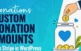 How to Accept Custom Donation Amounts in WordPress with Stripe